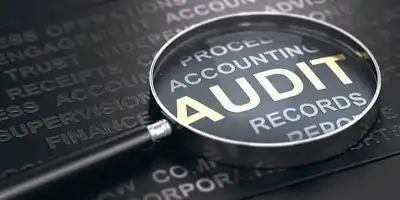 How Much Do Auditors Earn in Namibia?
