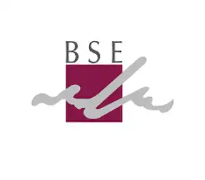 Business School of Excellence BSE Namibia Application 2023-2024