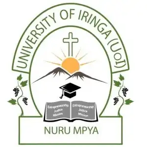 University of Iringa UoI Online Application 2023-2024